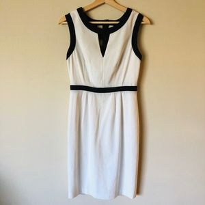 BCBG Dress